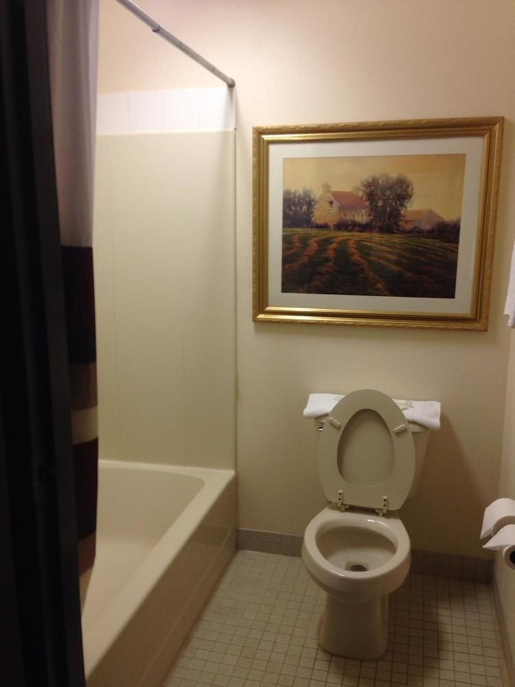 Red Roof Inn Hartselle Екстер'єр фото
